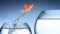 HR transformation